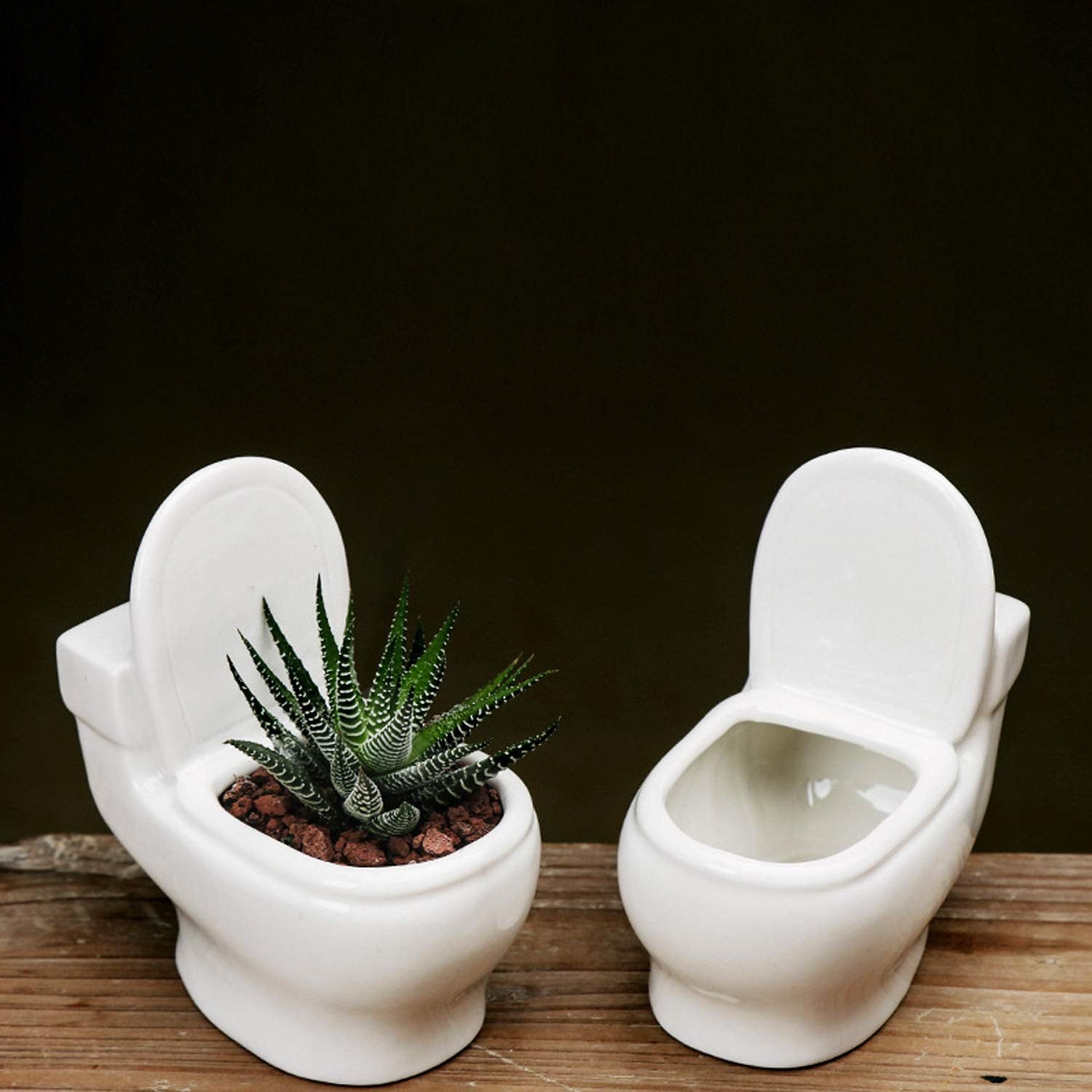 bowl shaped plant pots FloraFlush Toilet Planter – Funny Ceramic Plant Pot for Aesthetic Room Decor