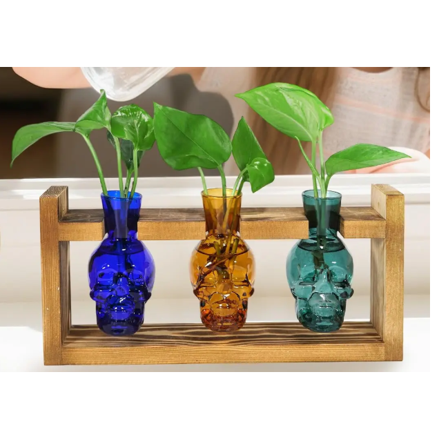Skull Vase Planter | Aesthetic Room Decor
