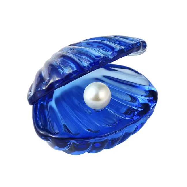 Crystal Seashell Jewelry Holder | Aesthetic Room Decor