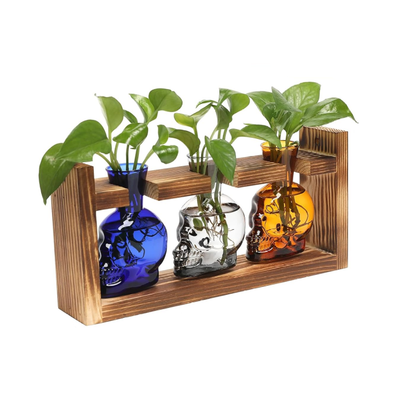 Skull Vase Planter | Aesthetic Room Decor