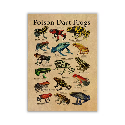 Vintage Frog Poster | Aesthetic Room Decor