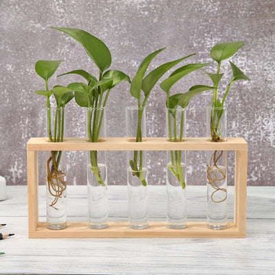 Test Tube Vase