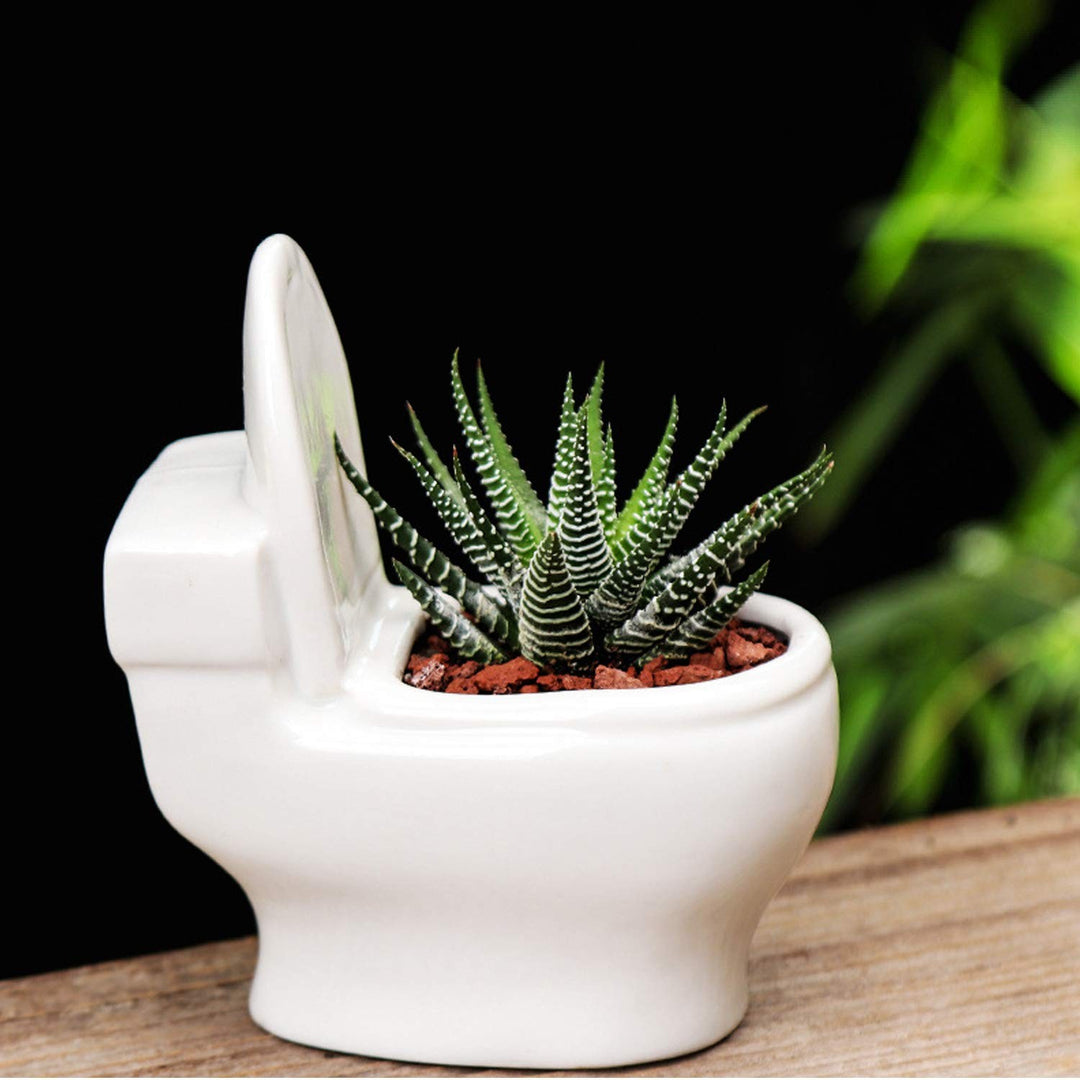 toilet plant pot FloraFlush Toilet Planter – Funny Ceramic Plant Pot for Aesthetic Room Decor