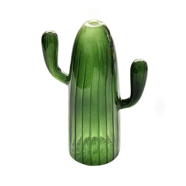 Cactus Transparent Vase | Aesthetic Room Decor