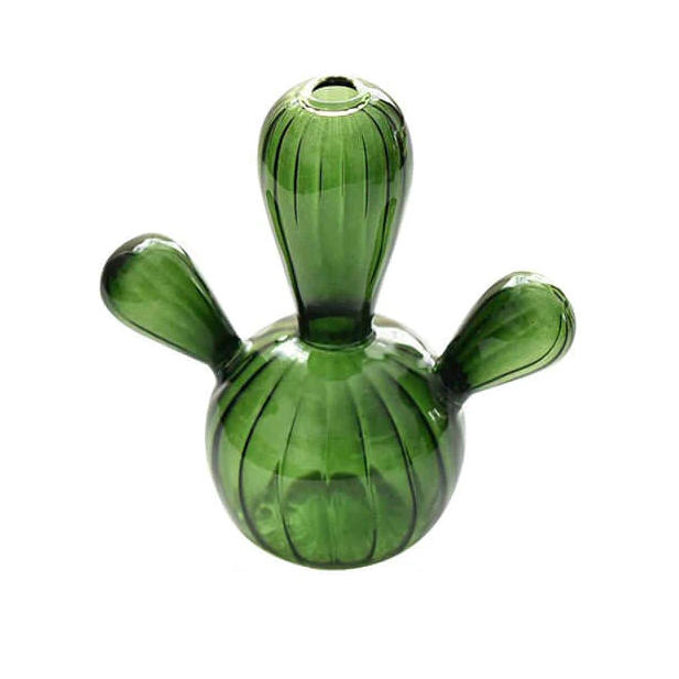 Cactus Transparent Vase | Aesthetic Room Decor