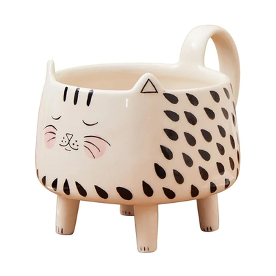 Crazy Cat Lady Mug | Aesthetic Room Decor