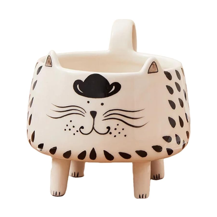 Crazy Cat Lady Mug | Aesthetic Room Decor
