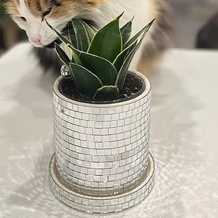 Disco Party Flower Pot | Aesthetic Room Decor