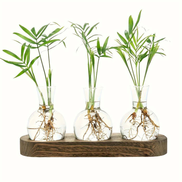 Minimalist Clear Glass Vase Set | Aesthetic Room Decor