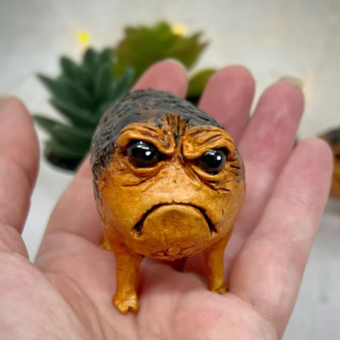 Grumpy Frog Room Decor | Aesthetic Room Decor