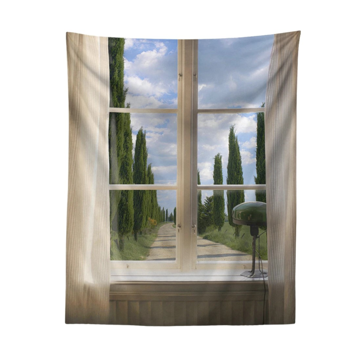 Aesthetic View Tapestry | Aesthetic Room Decor