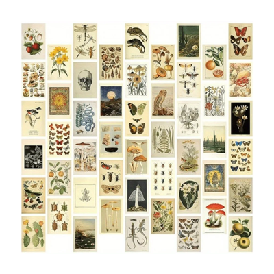 Light Academia Wall Collage | Aesthetic Wall Decor