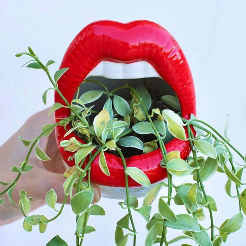 Lips Shape Planter | Aesthetic Room Decor