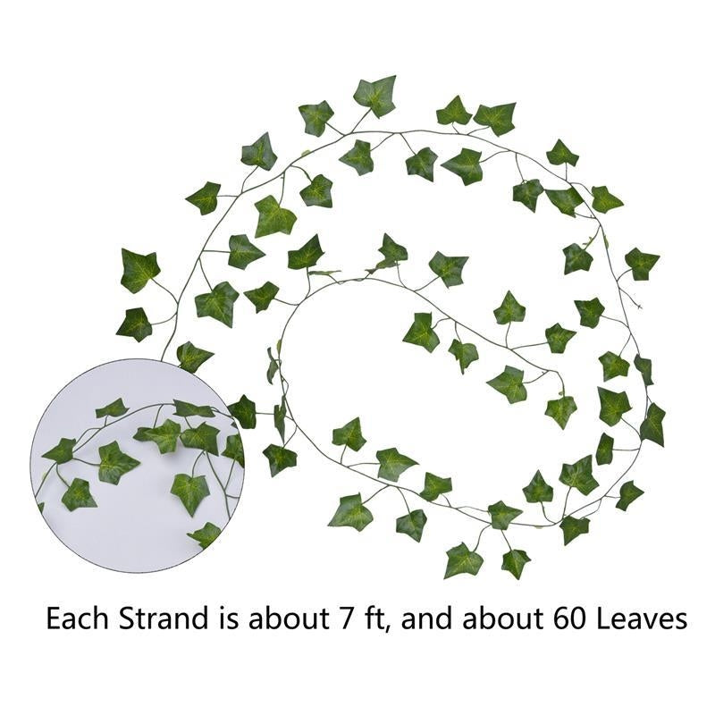 Green Leaf Hanging Ivy