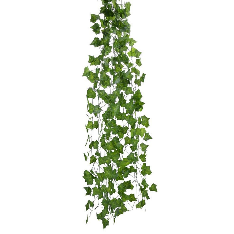 Green Leaf Hanging Ivy