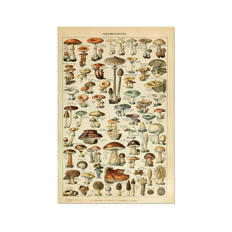 Aesthetic Mushroom Poster