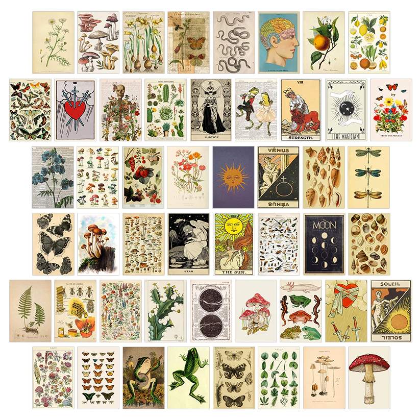 Aesthetic Collage Walls | Botanic Garden Collage Kit