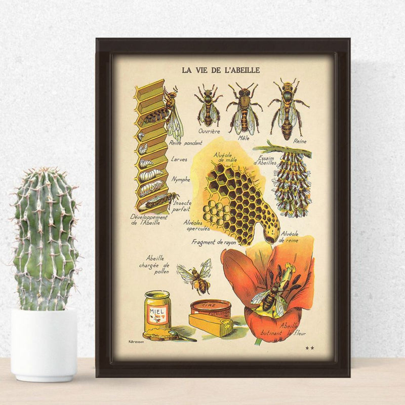 Save The Bees Poster