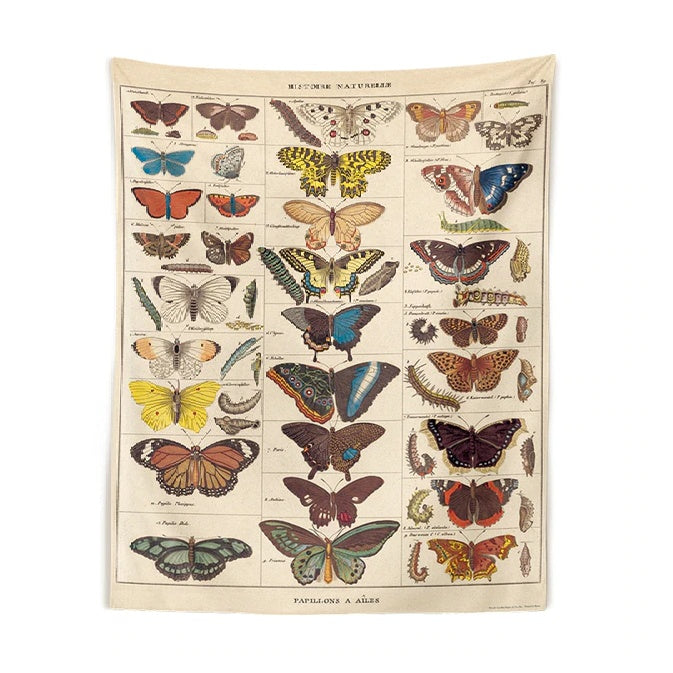 Butterfly Tapestry | Aesthetic Tapestry