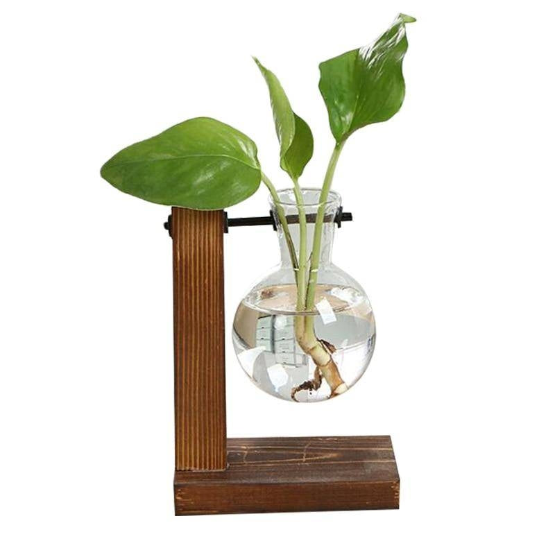 Hydro Plant Bulb Vase