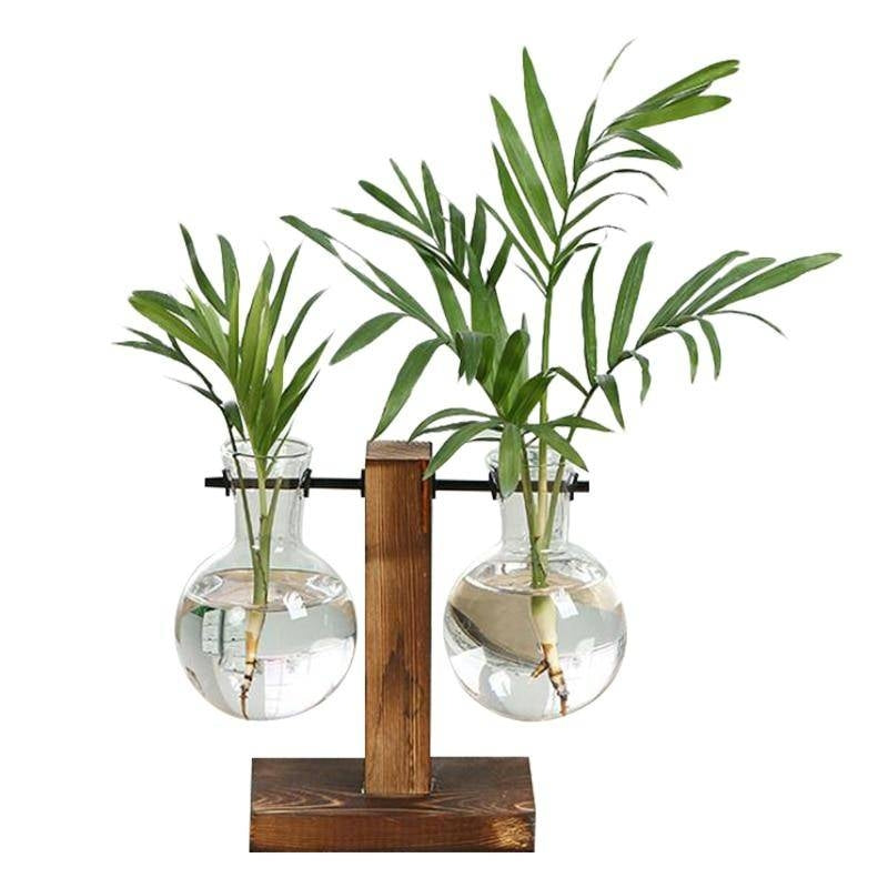 Hydro Plant Bulb Vase