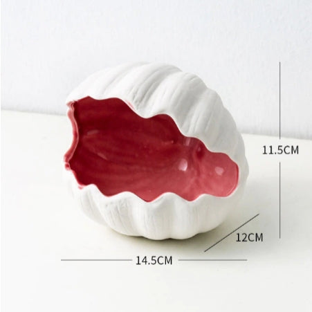 Shell Jewelry Holder