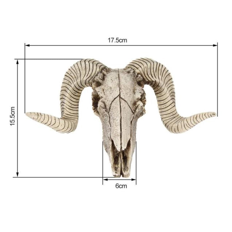 Ram Skull Wall Decor size