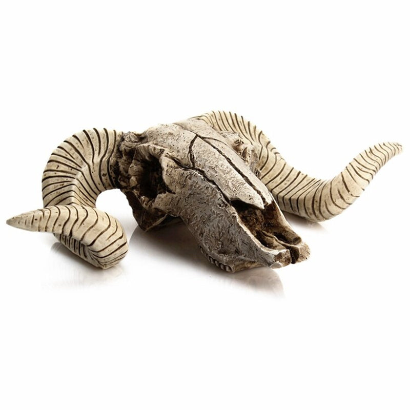 Ram Skull Wall Decor