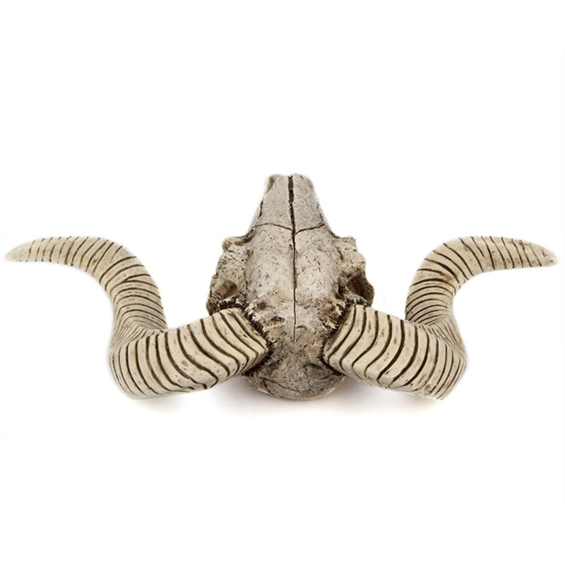 Ram Skull Wall Decor