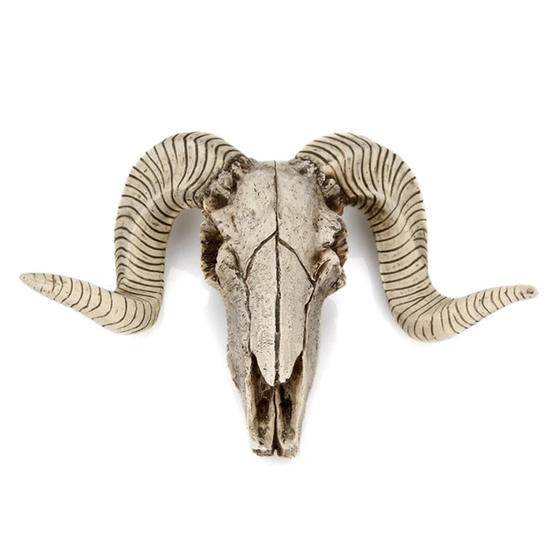 Ram Skull Wall Decor